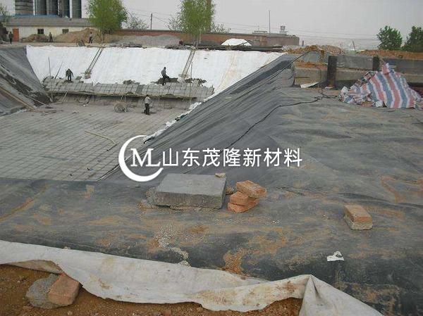 渠道衬砌土工膜作业指导书——《职责》