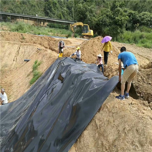 水库加固如何选择防渗土工膜