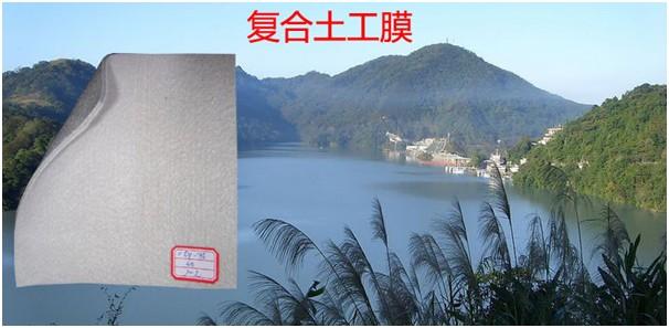 防渗膜在堤防、垂直的大坝的防渗处理发挥作用 第1张