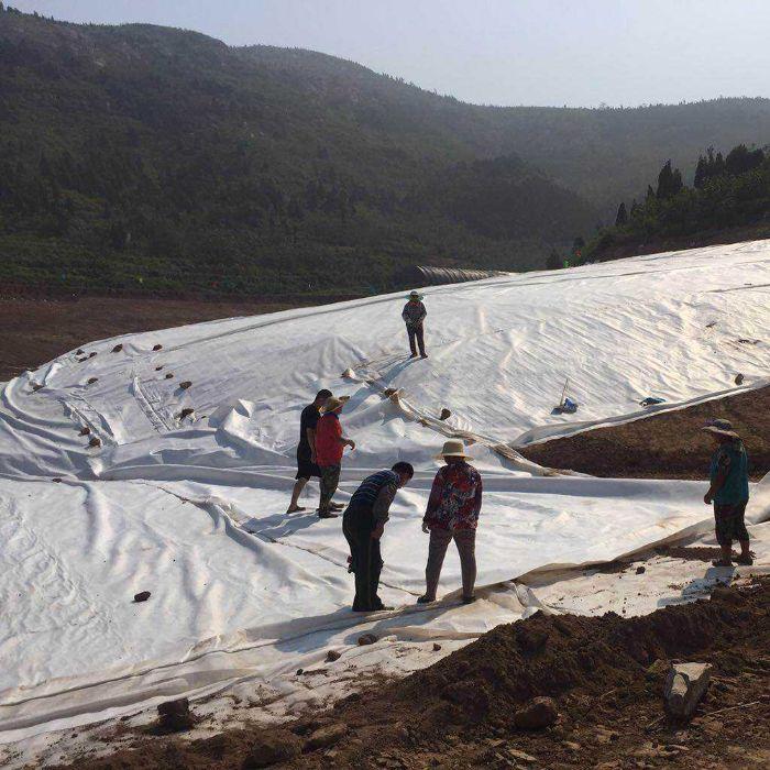 防水土工膜可以防止地下水上升而对路的