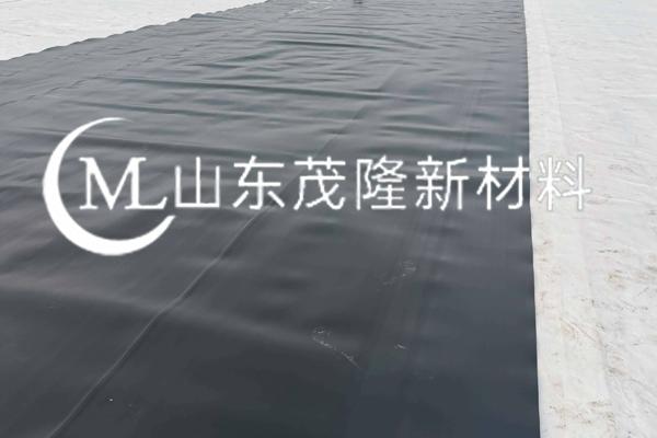 HDPE土工膜  第2张
